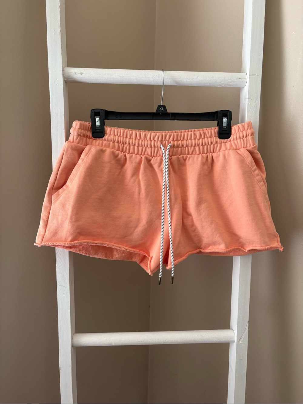 PARKE- Sold Out Target X shorts